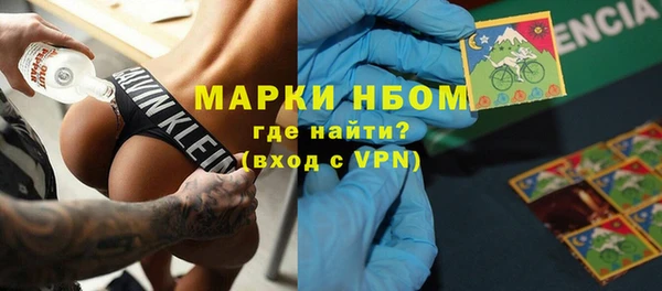 гашик Алексин