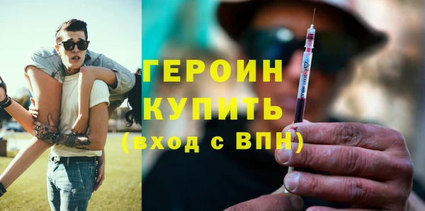 гашик Алексин