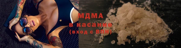 гашик Алексин