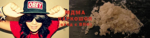 гашик Алексин