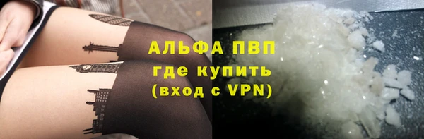 гашик Алексин