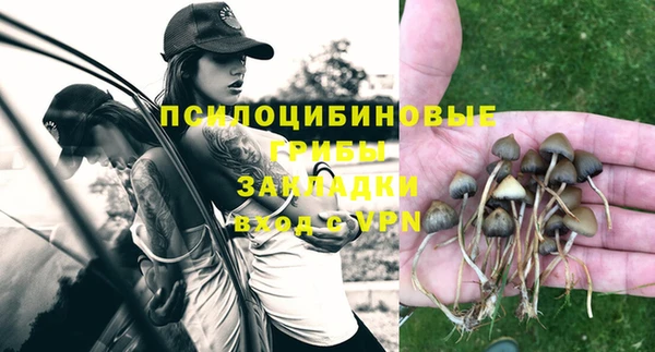 бутират Алзамай