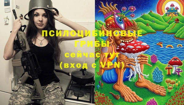 мяу мяу мука Алексеевка