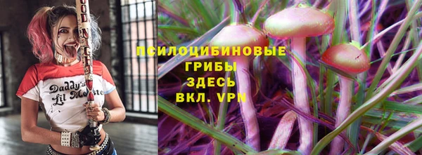мяу мяу мука Алексеевка