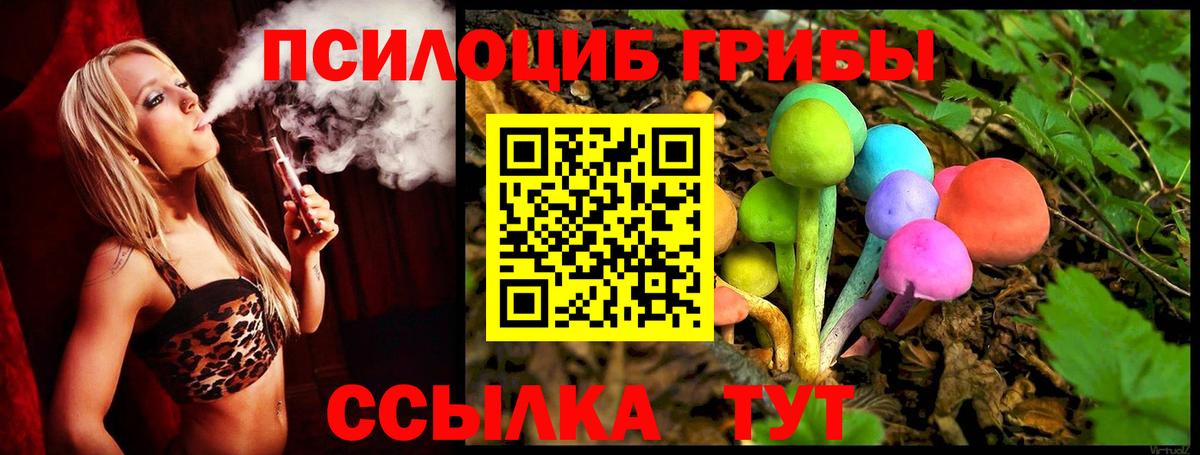 Уфа  Псилоцибиновые грибы мицелий  Вход с VPN 